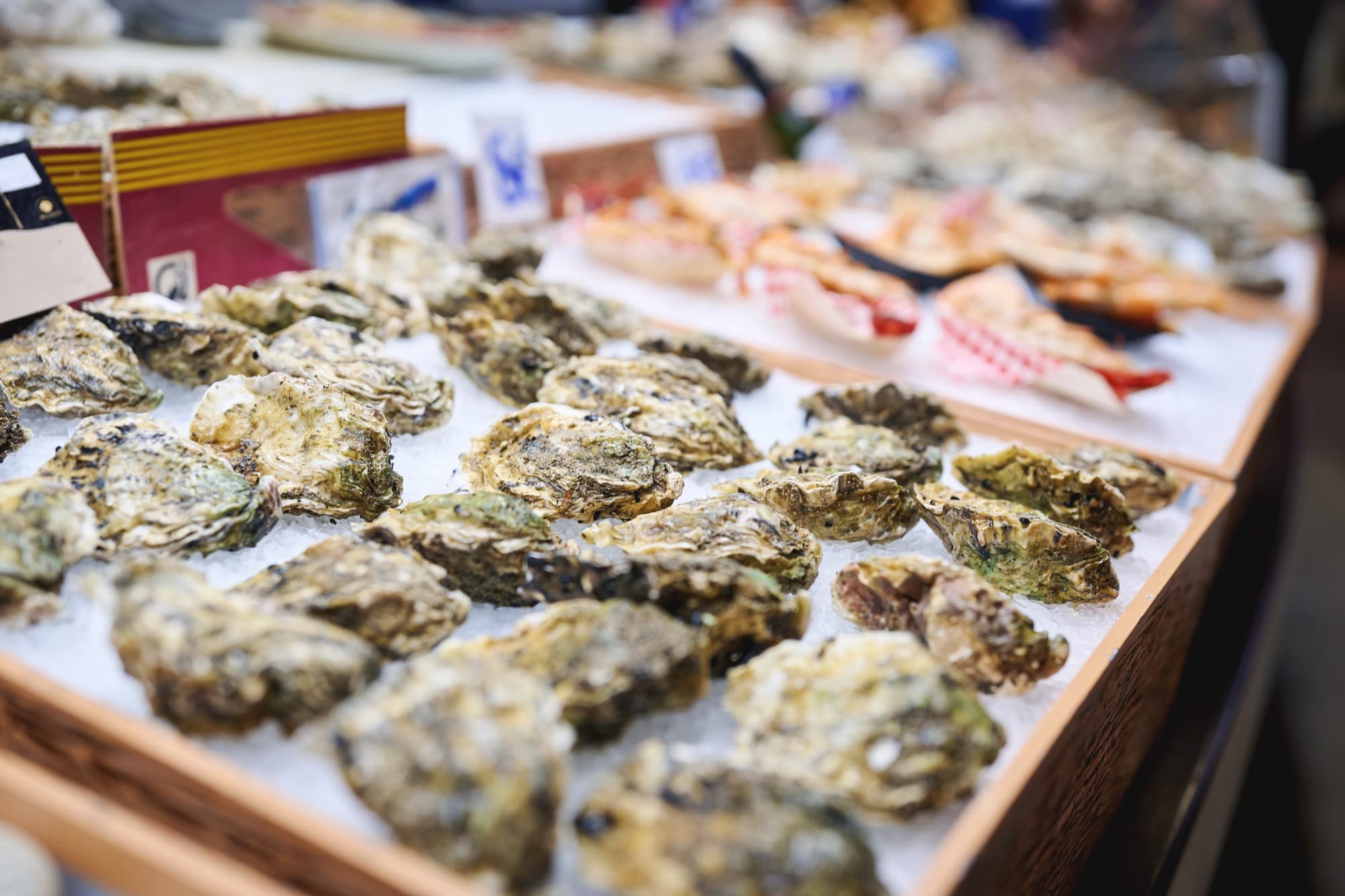 Whole oysters in the shell on ice, sold in sealed tagged containers